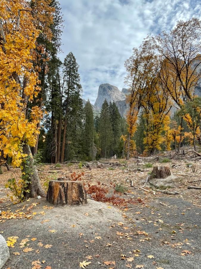 Yosemite Escapes - Pine Mountain Lake Гровленд Екстер'єр фото